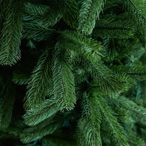 Alternative view of Brad artificial GREEN FOREST