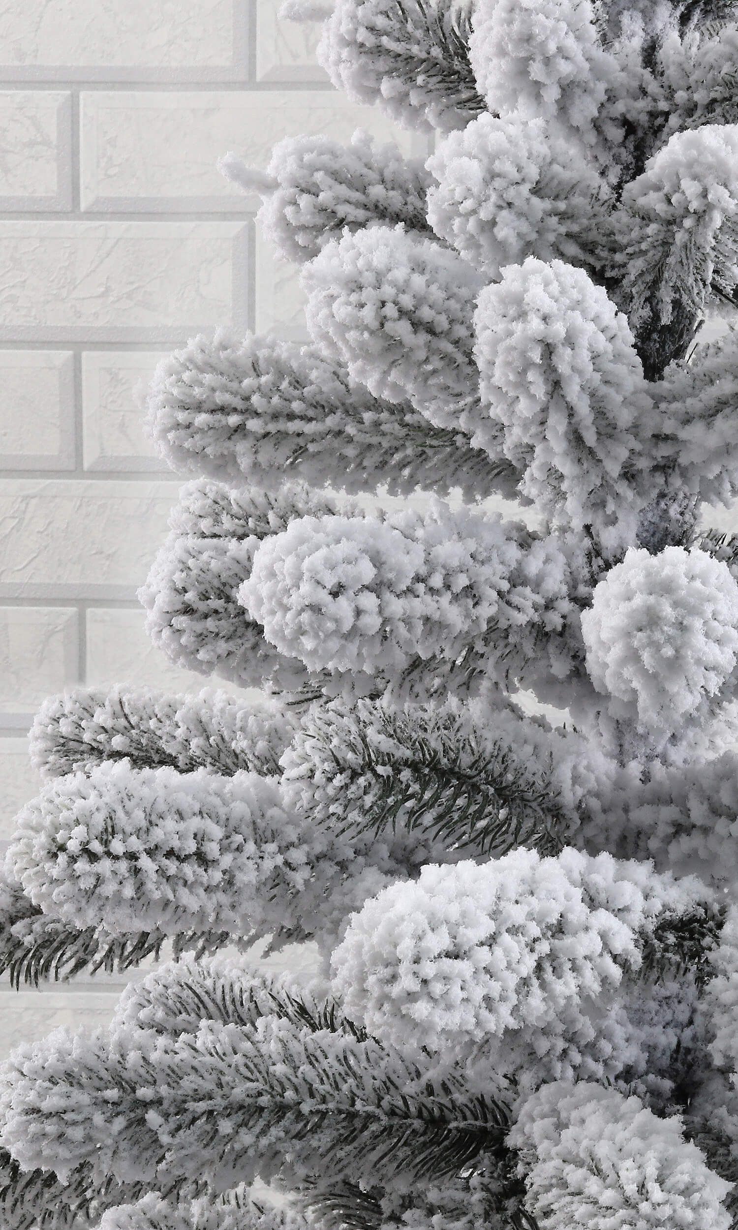 Frosty (2)