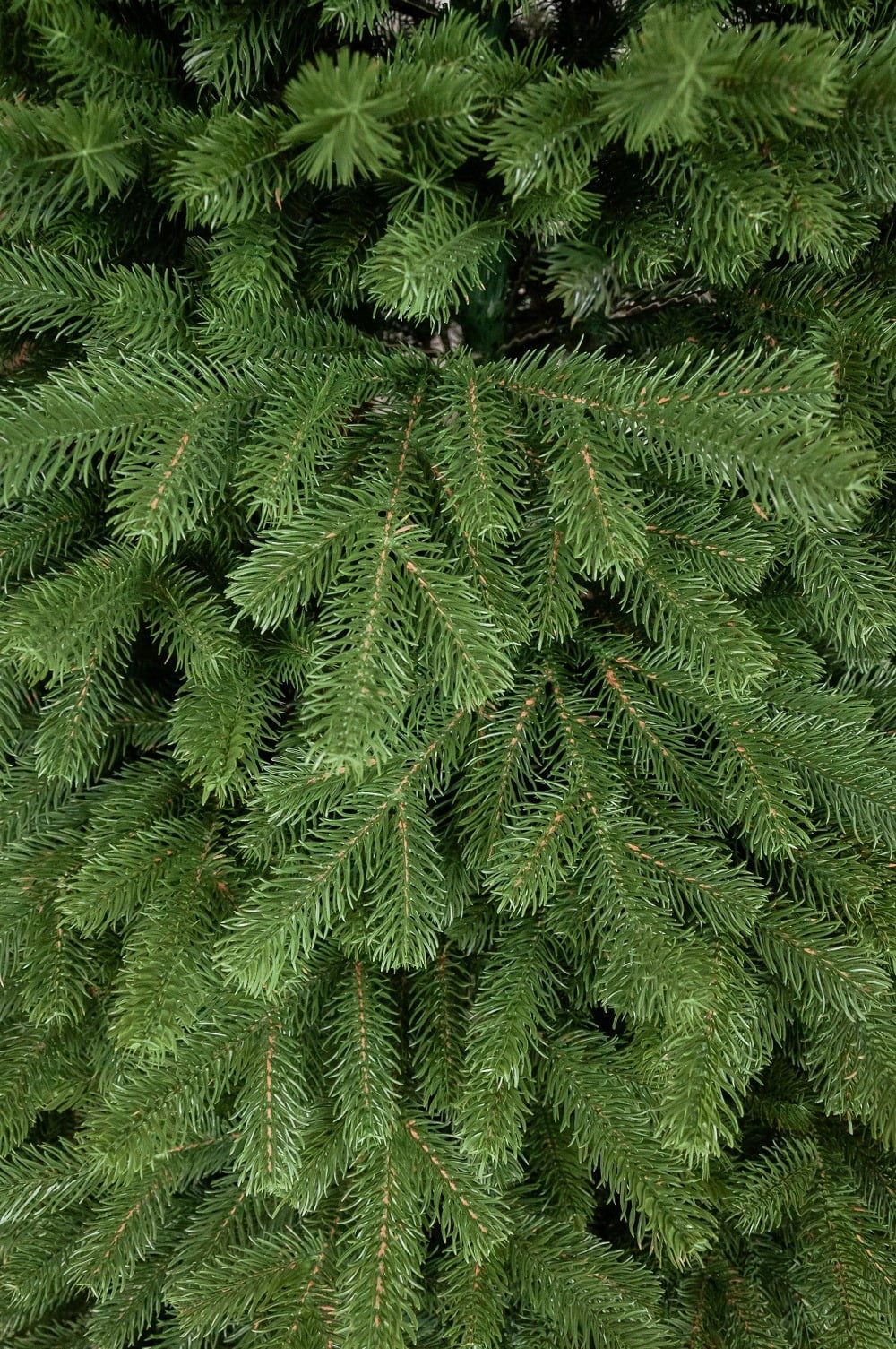 siberian green (2)