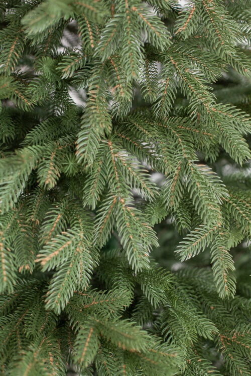 Alternative view of Brad artificial De Lux cu ace full 3D - HAPPY FOREST