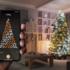 Brad smart TWINKLY WINDSOR PINE (3)