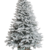siberian_snow__1_1) siberian snow