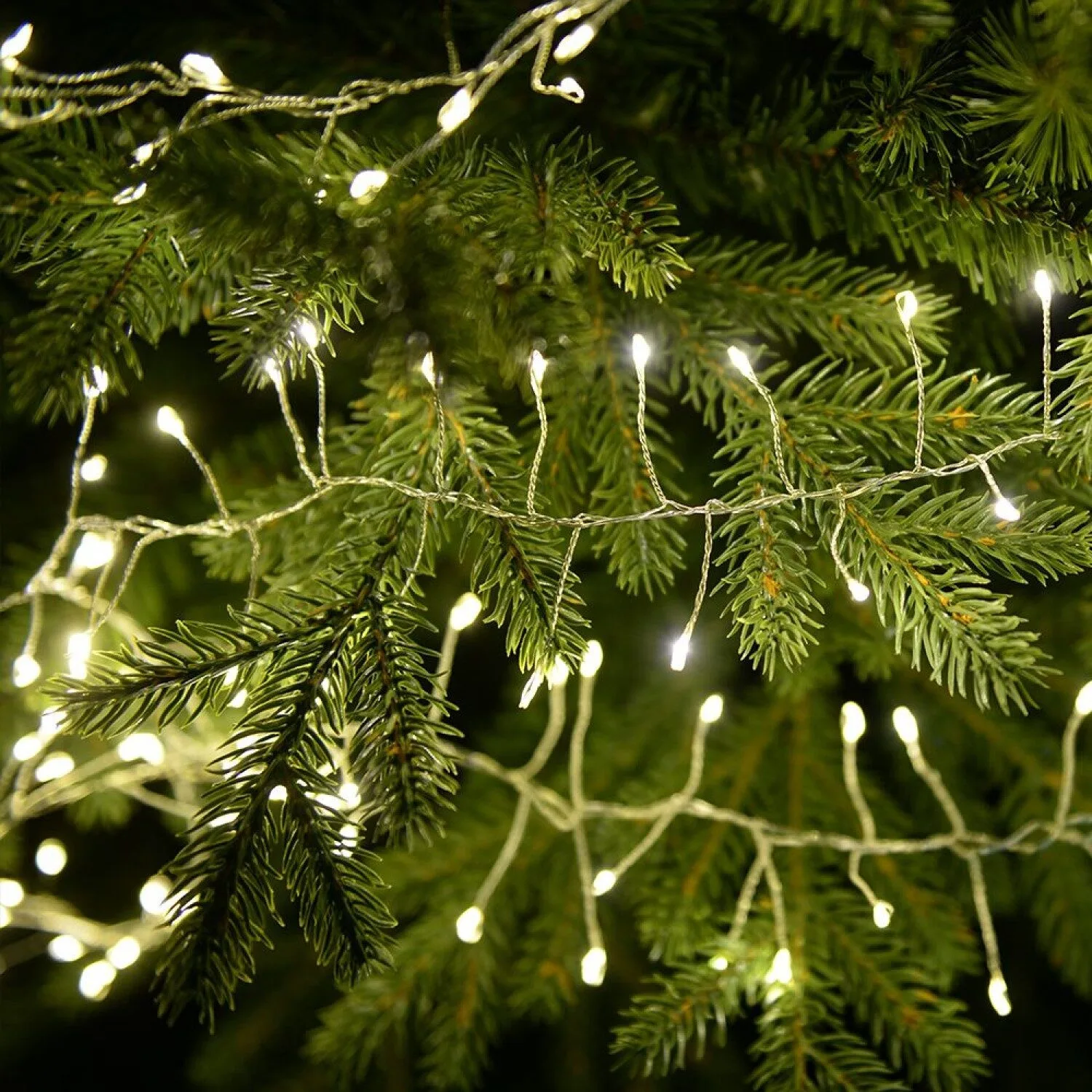 Ghirlanda fairy Light alb Rece 2 Ghirlanda fairy Light