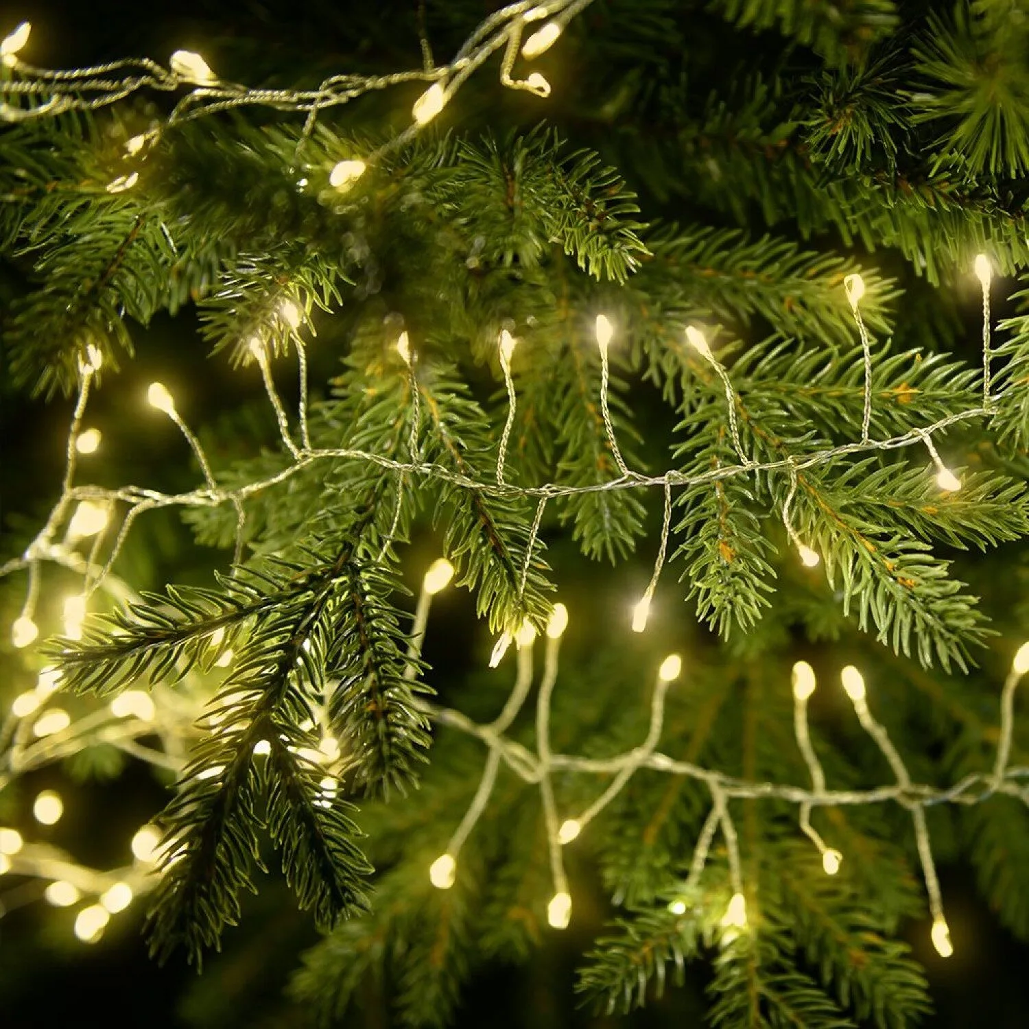 Ghirlanda fairy Light alb cald 2